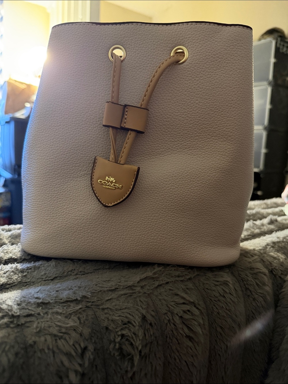 Coach Pebbled Leather Drawstring Bucket Bag in Taupe Brown